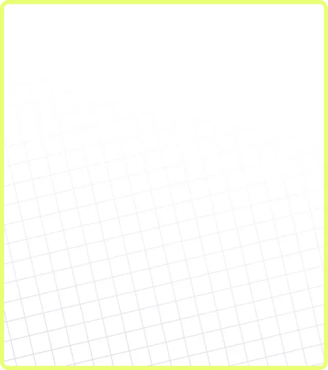 program white bg